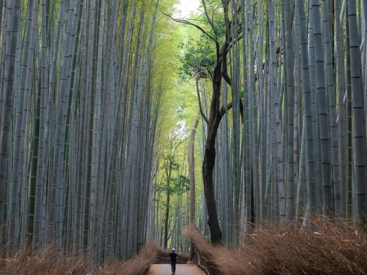 Stay Marutamachi Kyoto Bagian luar foto