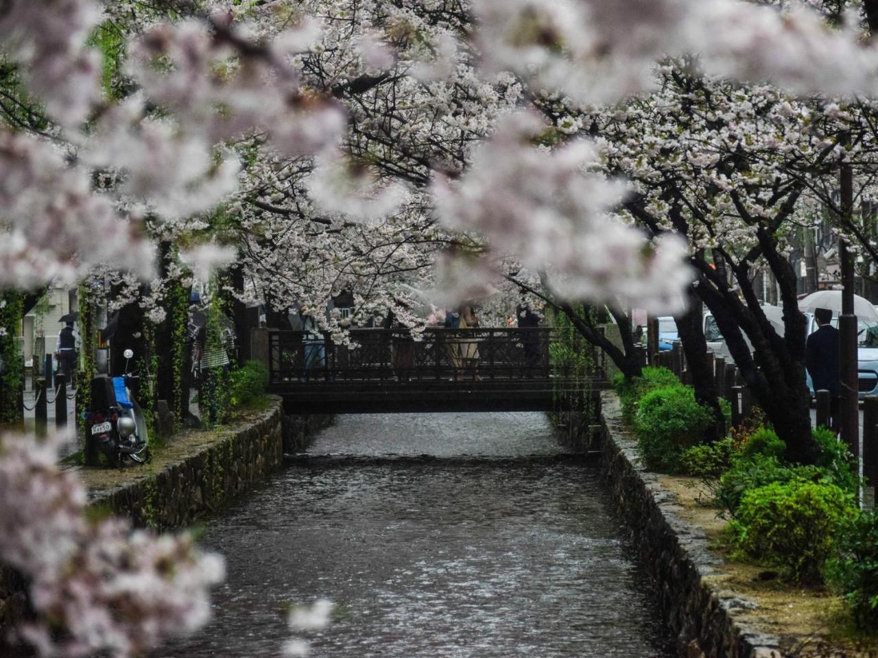 Stay Marutamachi Kyoto Bagian luar foto