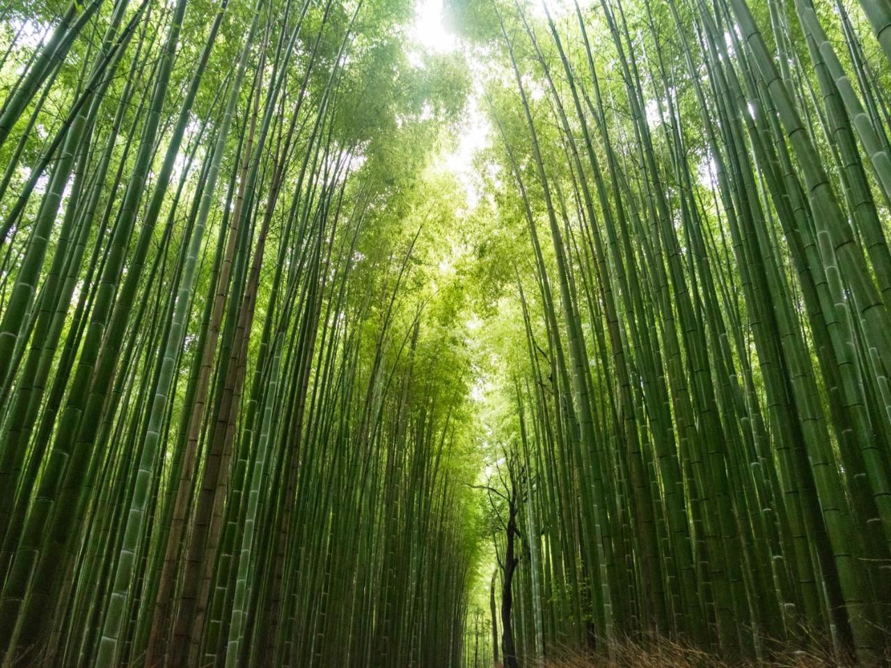 Stay Marutamachi Kyoto Bagian luar foto